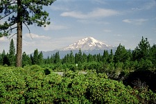 Mt.Shasta