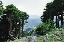 Lake Helen from lower trail.