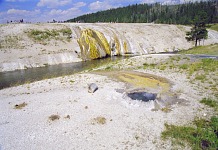 An interpretive trail.