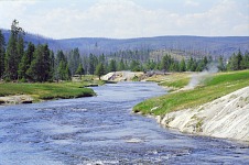 Hot springs along the stream.