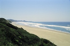 Oregon beaches.