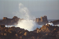 Pacific Grove surf