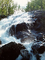 Vodopád kousek od farmy