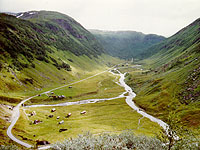 Myrkdalen: vypněte někdo to kino!