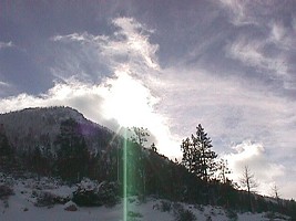 After a month of rain - sunshine!